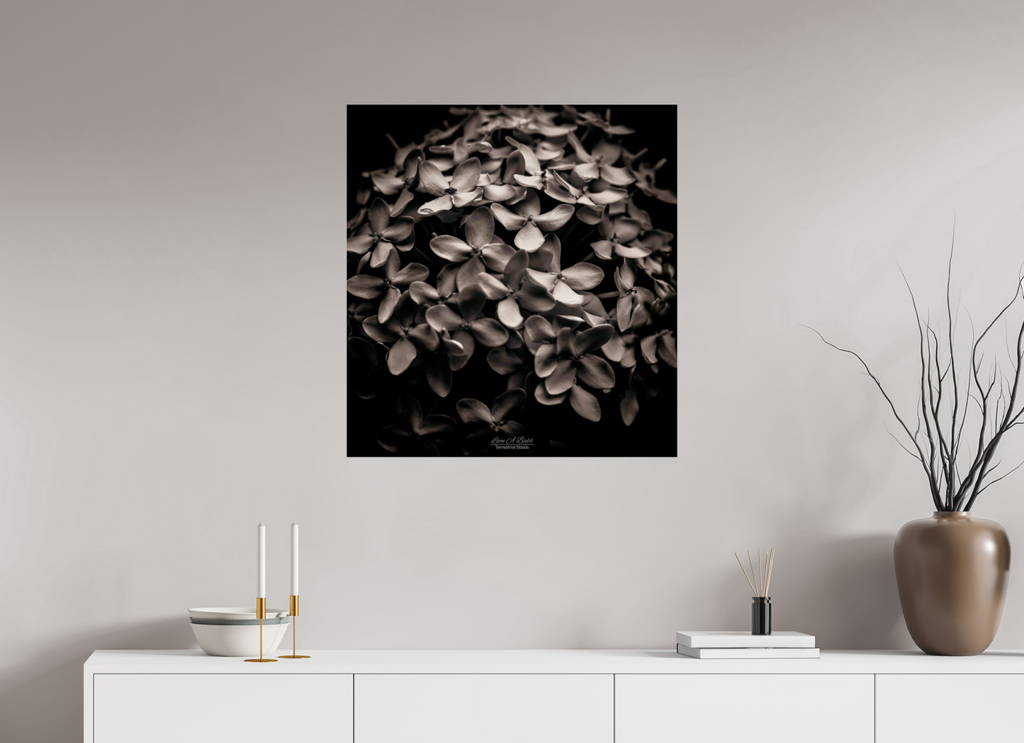 (07D) Monochrome Garden