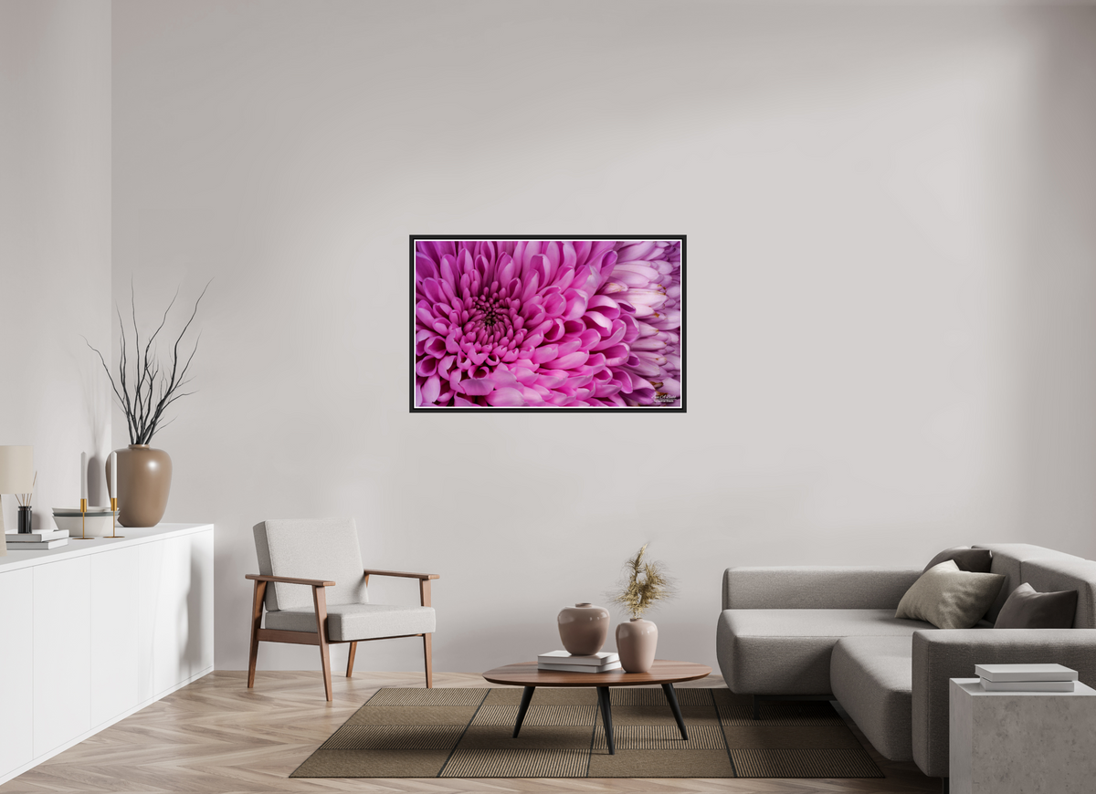 49.6 x 31″, Black Matte Floater Frame with Acrylic Glass ???