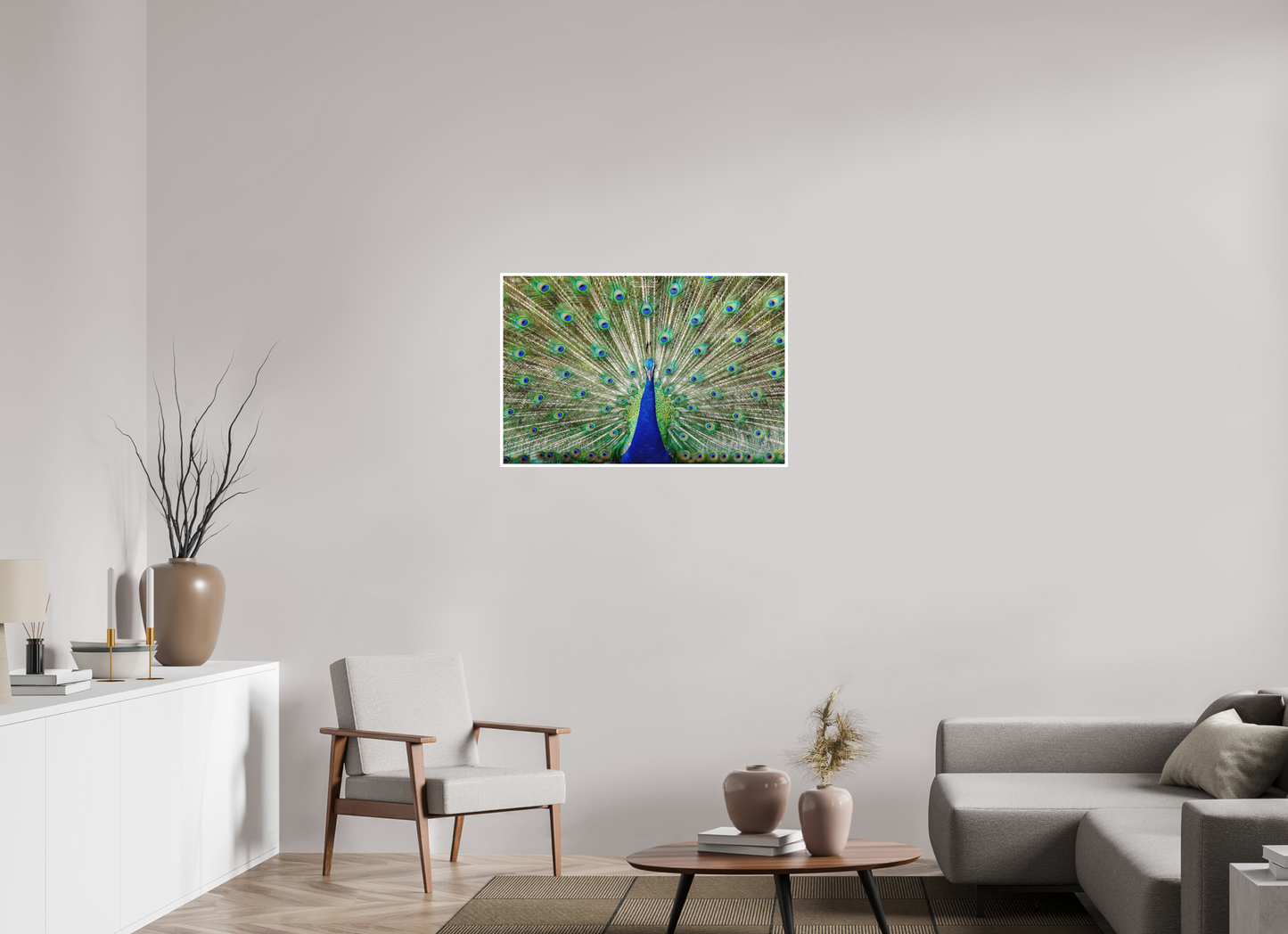 36 x 24″, Photo Print with Matte Lamination (08C) Peacock Display