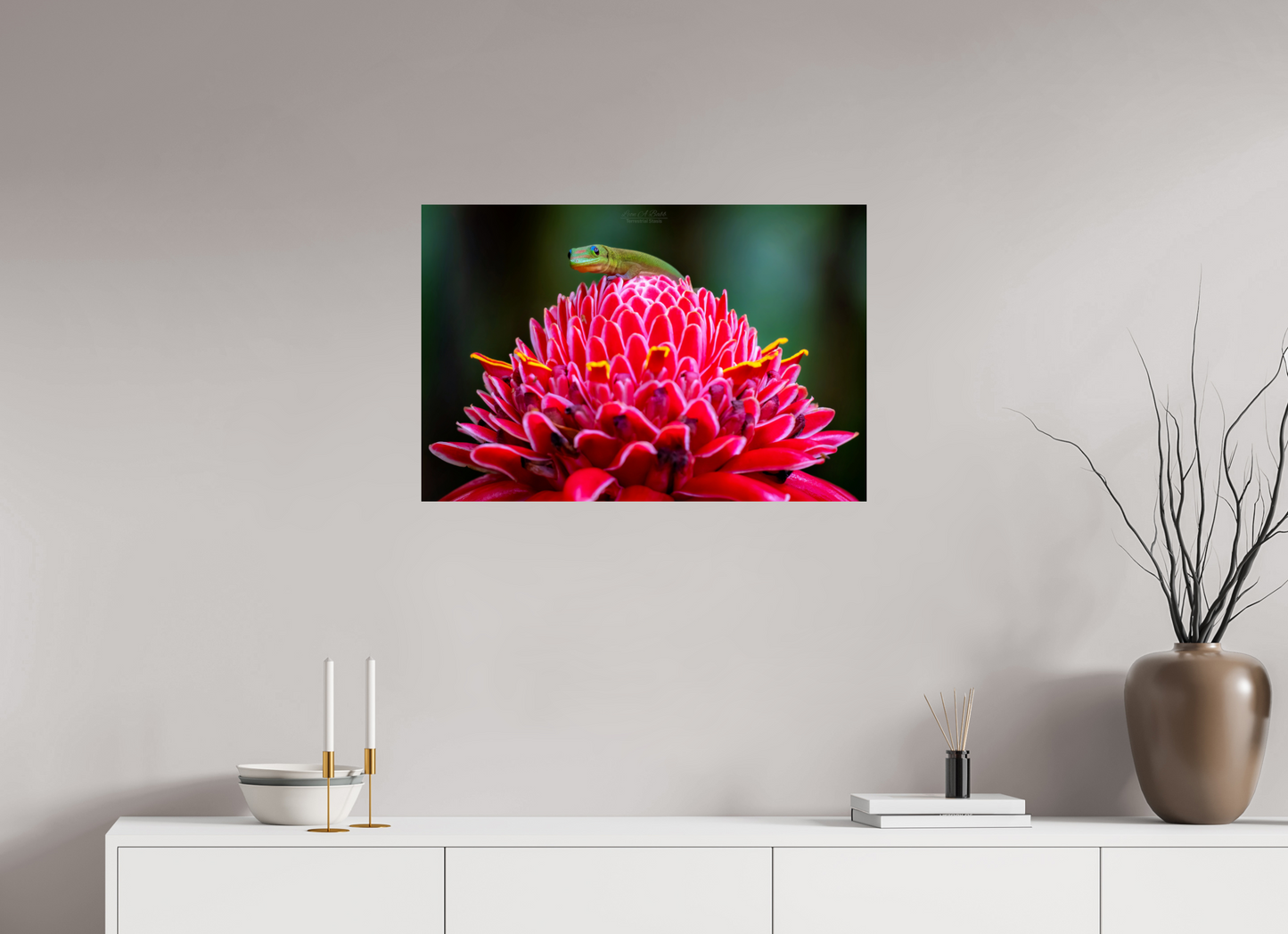 (08F) Gecko on a flower