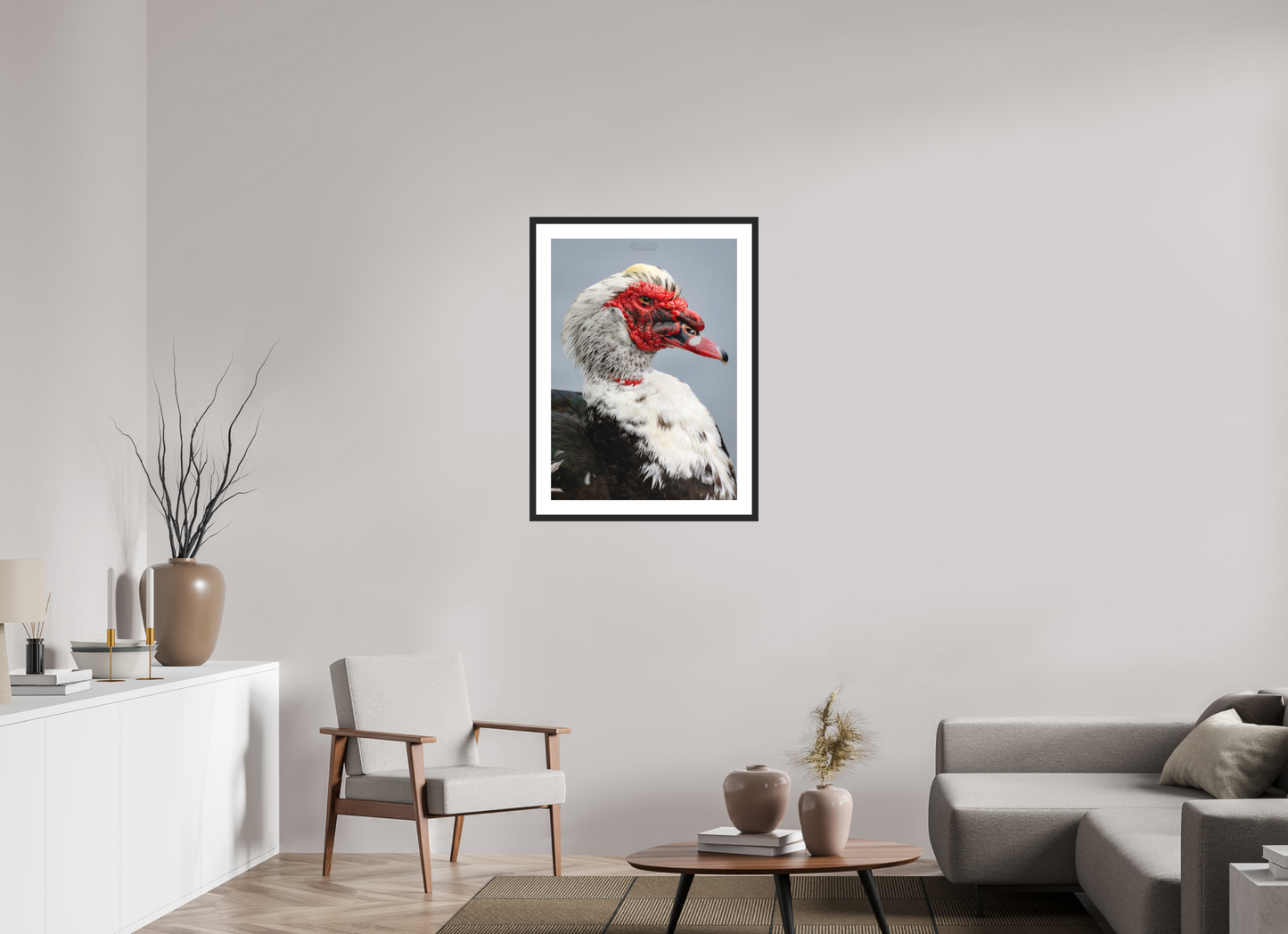 24 x 33.6″, Classic Black Matte Wood Frame (08S) Male Muscovy Duck Portrait