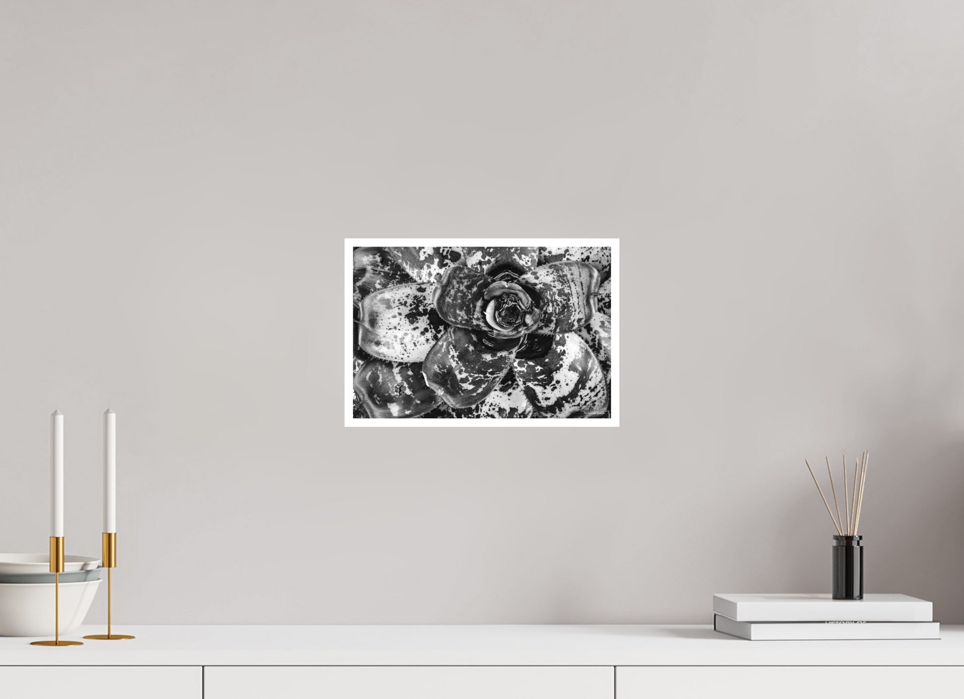12 x 8″, Photo Print with Matte Lamination (07C) Monochrome Bloom