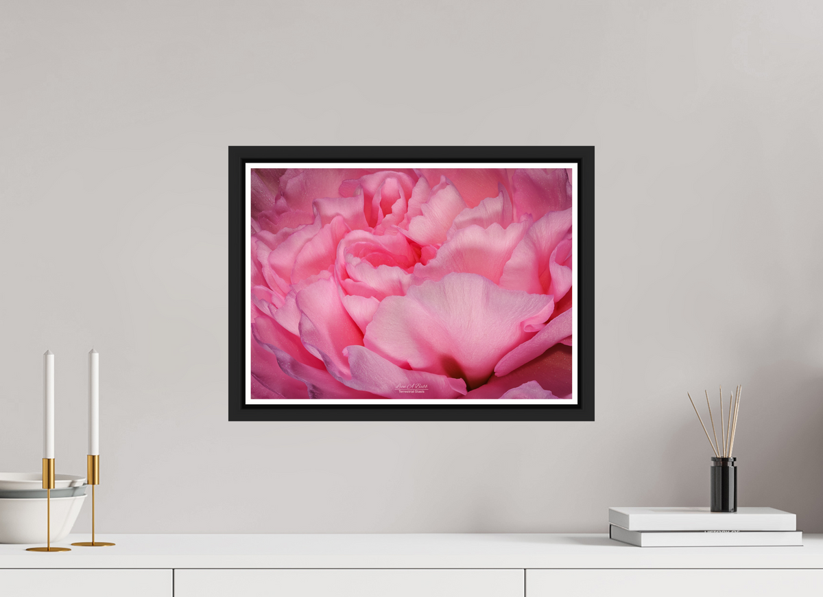 16.8 x 12″, Black Matte Floater Frame with Acrylic Glass Radiant Pink Petals