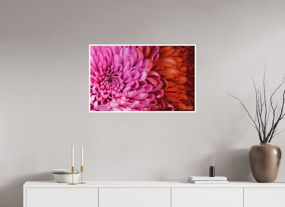 32 x 20″, Print with Matte Lamination ??