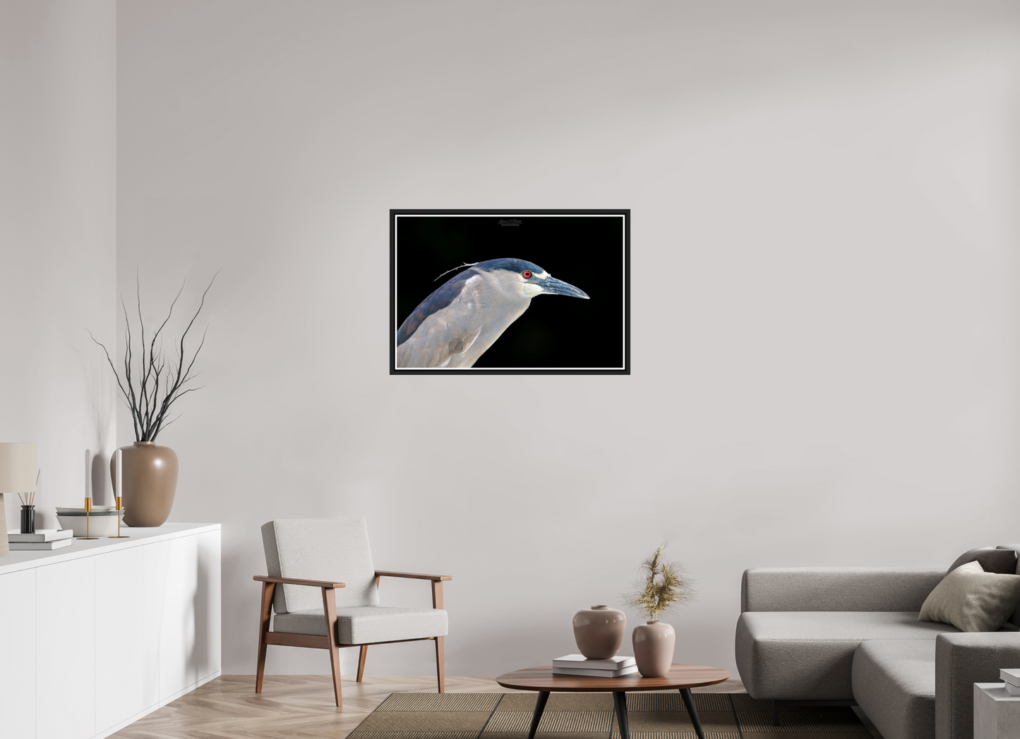 36 x 24″, Black Matte Floater Frame with Acrylic Glass (08B) Black-crowned Night Heron
