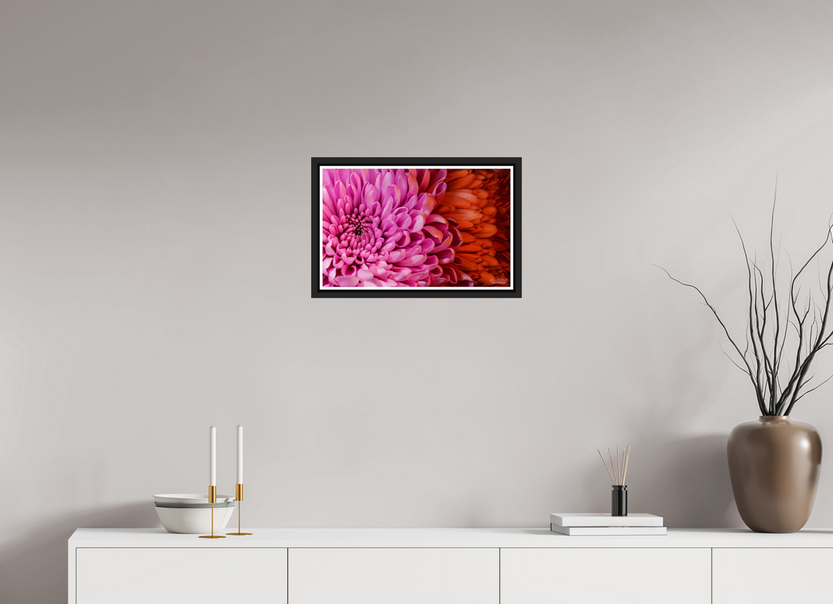 19.2 x 12″, Black Matte Floater Frame with Acrylic Glass ??