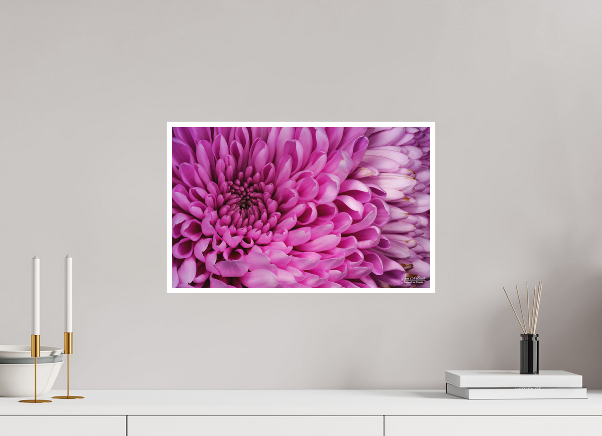 19.2 x 12″, Print with Matte Lamination ???