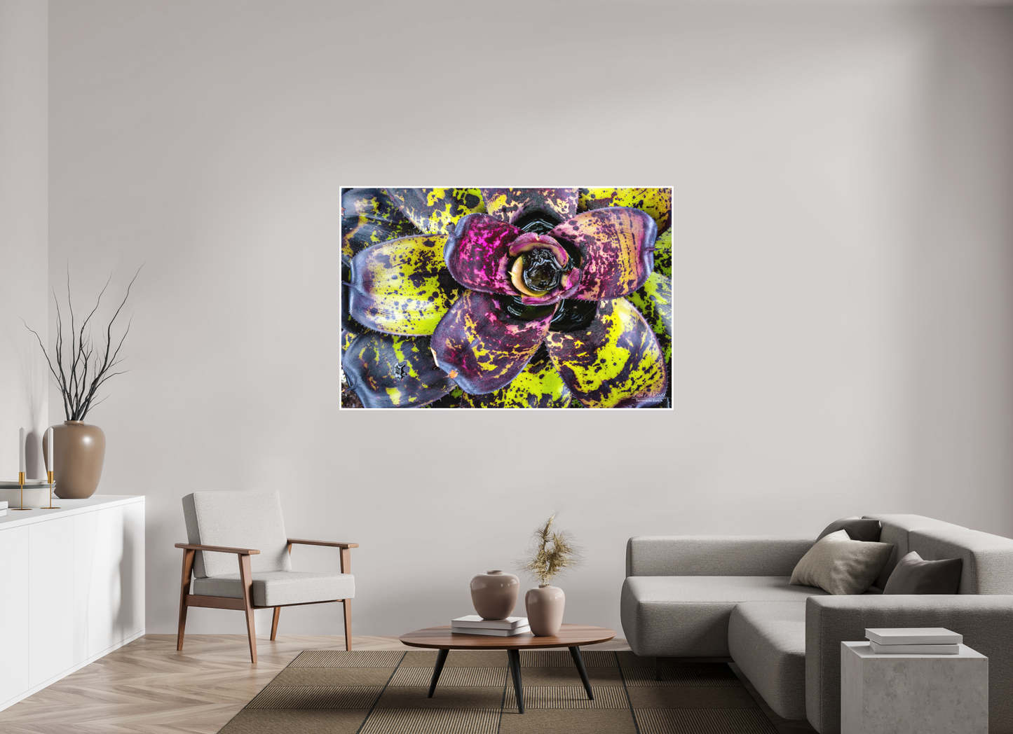 66 x 44″, Photo Print with Matte Lamination (07B) Colorful Plant