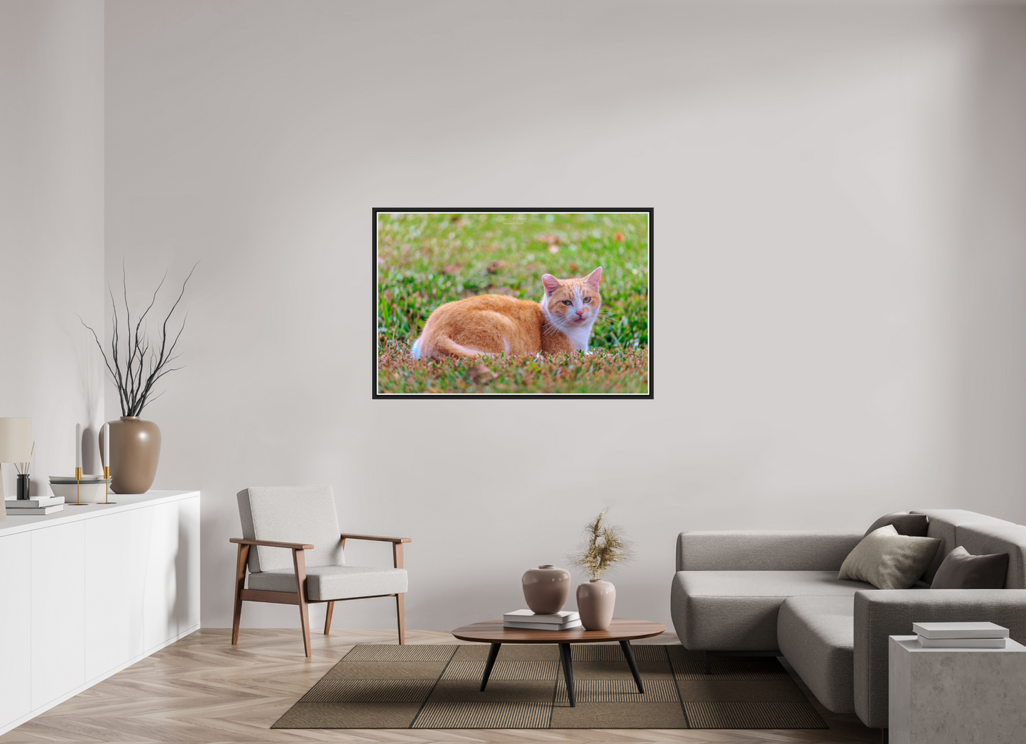 54 x 36″, Black Matte Floater Frame with Acrylic Glass (08H) Hawaii Strays in Color