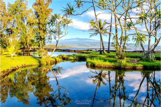 (04B) Richardson Ocean Park