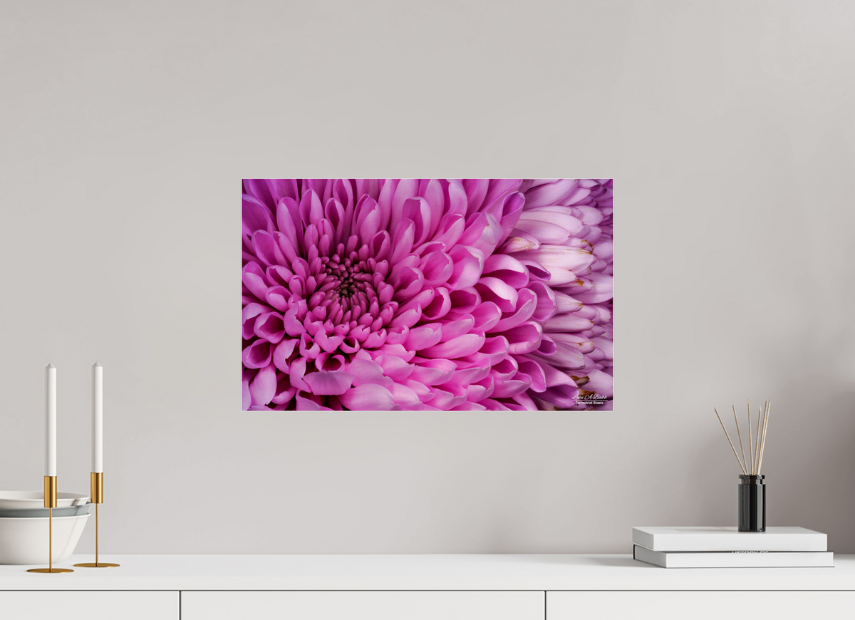 19.2 x 12″, Photo Print Under Acrylic Glass ???