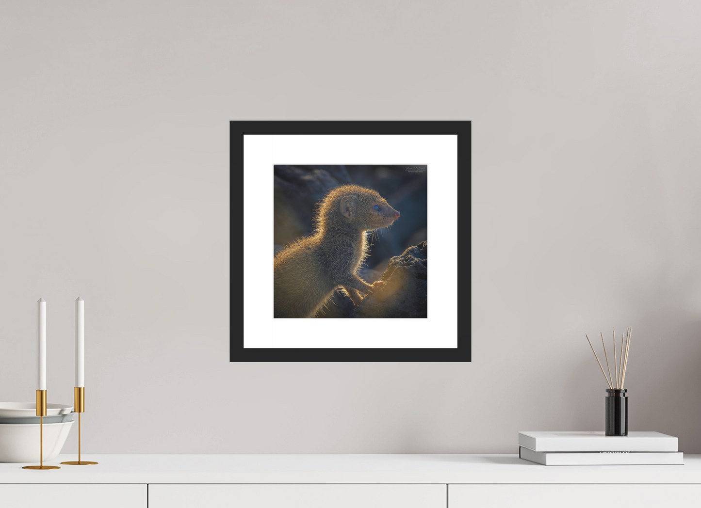 10 x 10″, Standard Black Matte Wood Frame (08J) First Watch