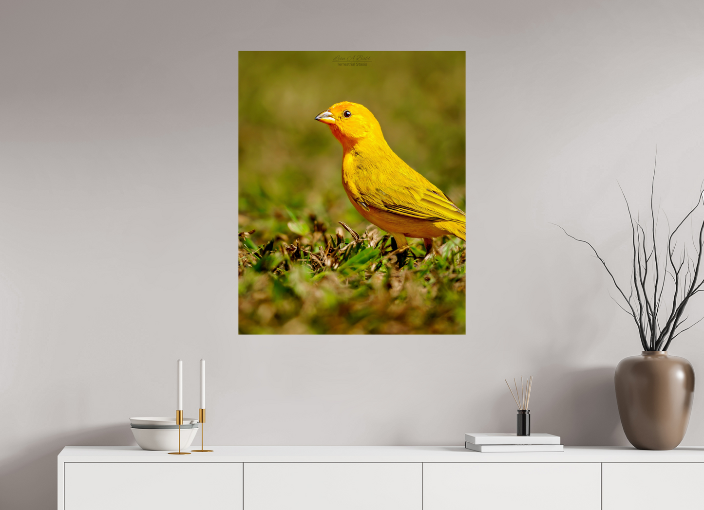 28 x 35″, Aluminum Backing with Glossy Lamination (08E) Radiant Stillness