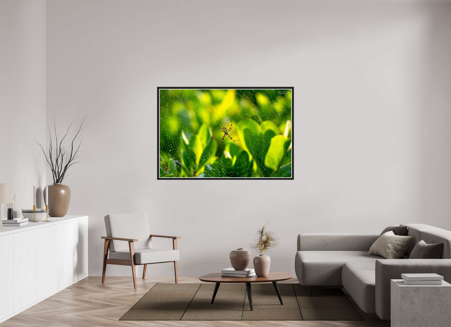 60 x 40″, Black Matte Floater Frame with Acrylic Glass (09C) Hawaiian Garden Spider