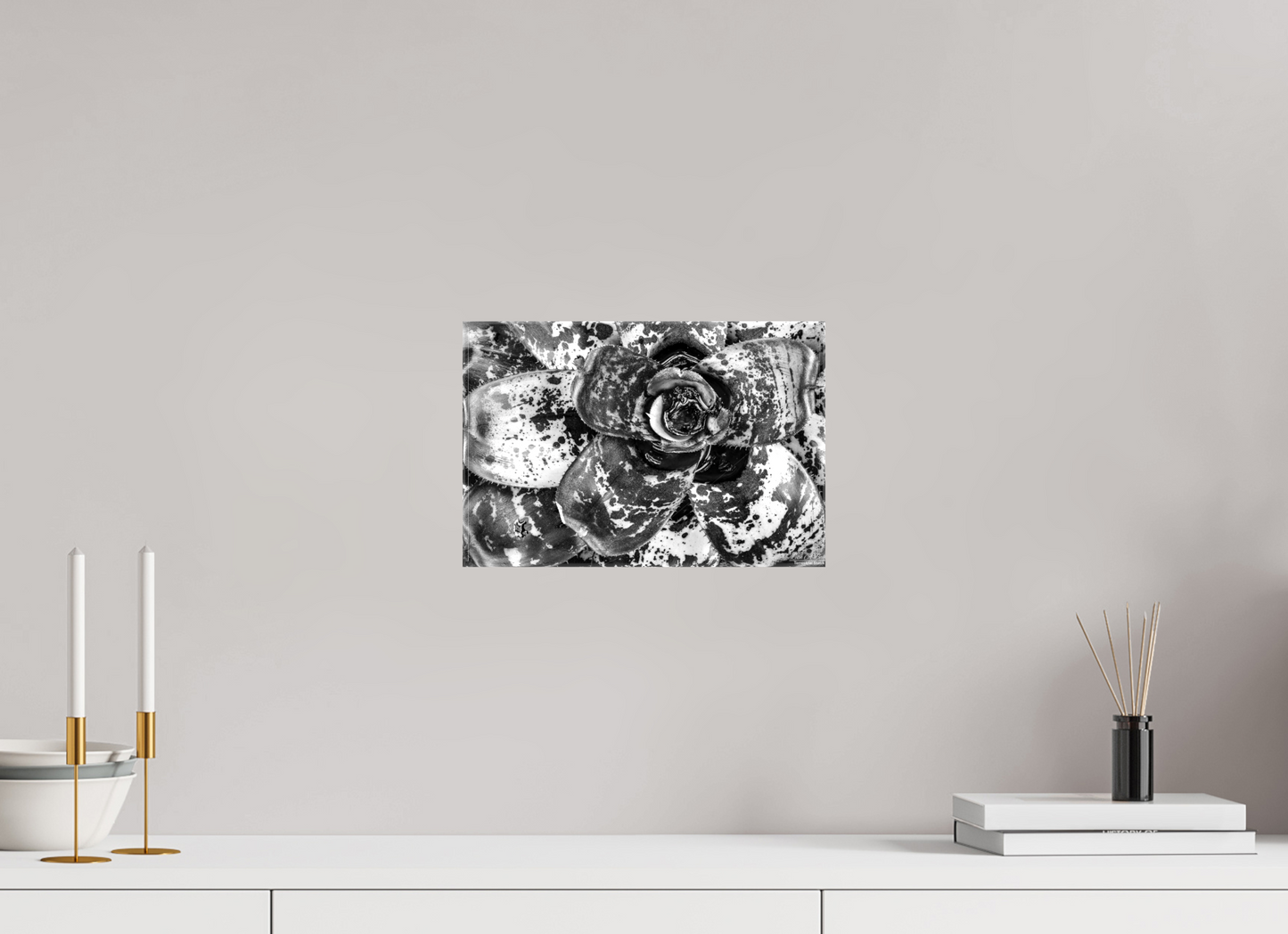 12 x 8″, Glossy Canvas (07C) Monochrome Bloom