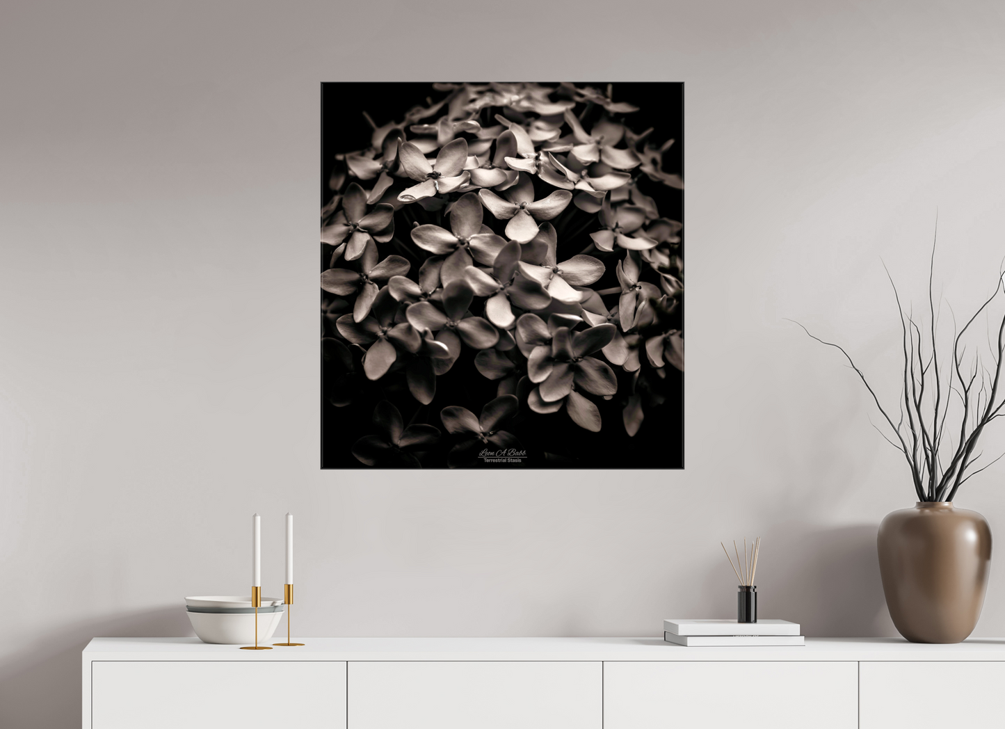 (07D) Monochrome Garden