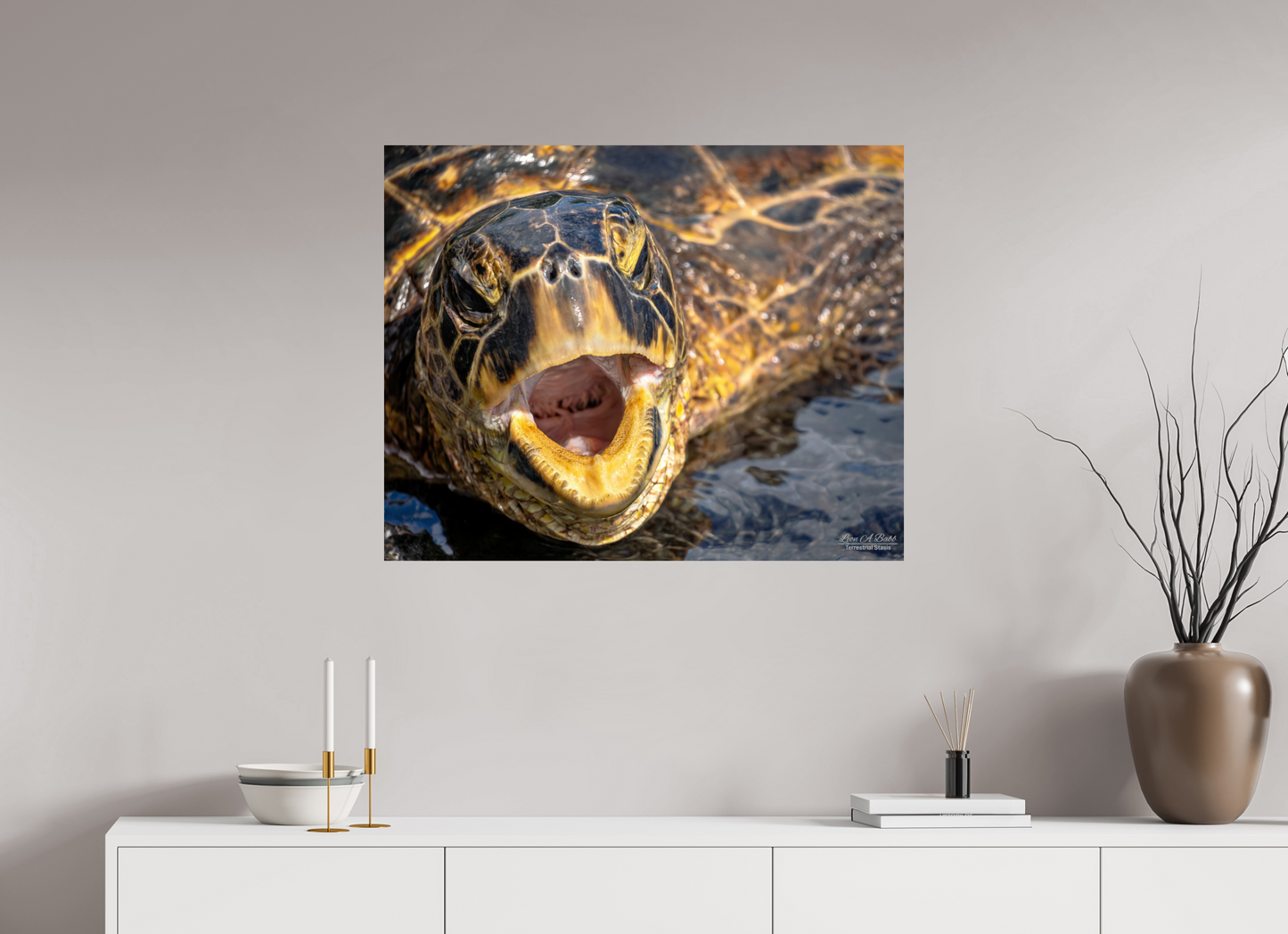 35 x 28″, Print with Aluminum Backing and Glossy Lamination (000) Honu’s Serenade