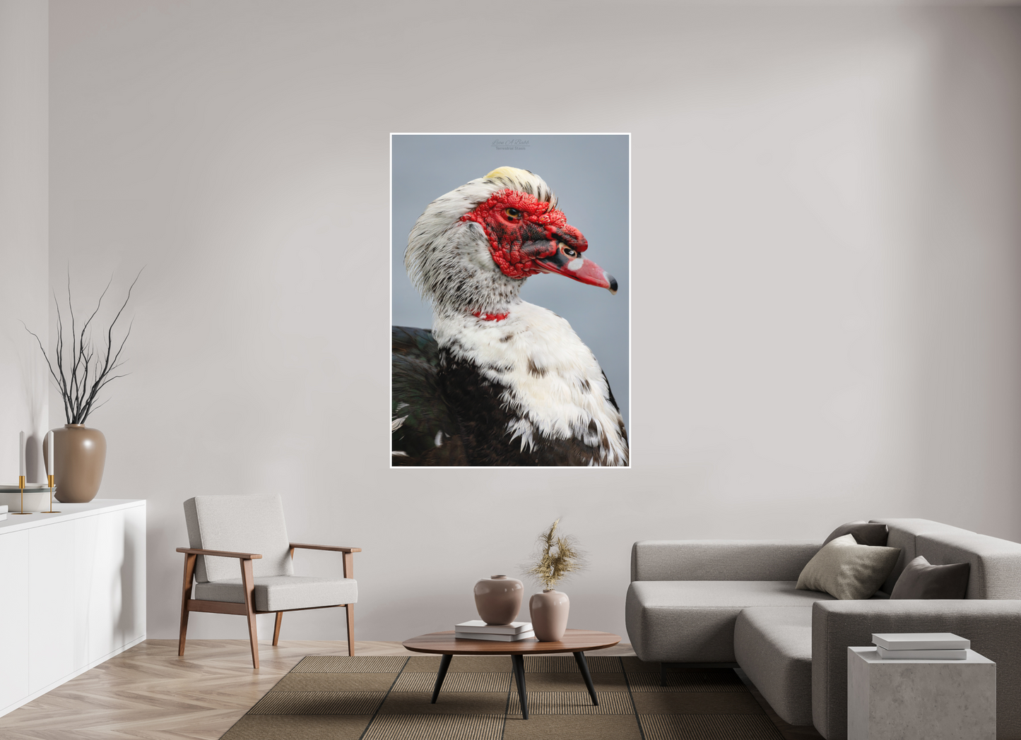 47 x 65.8″, Print with Matte Lamination (08S) Male Muscovy Duck Portrait
