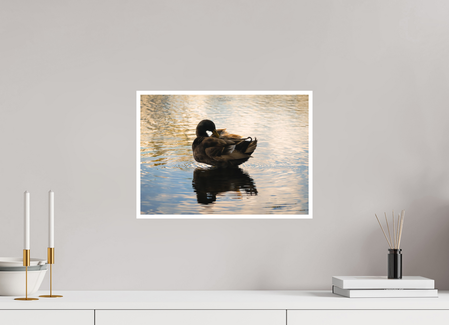 16.8 x 12″, Print with Matte Lamination (08C) Quiet Drift on Wailoa River