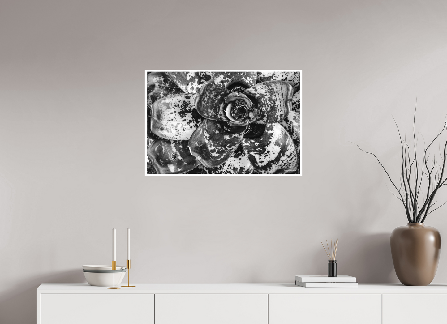 30 x 20″, Photo Print with Matte Lamination (07C) BnW Plant