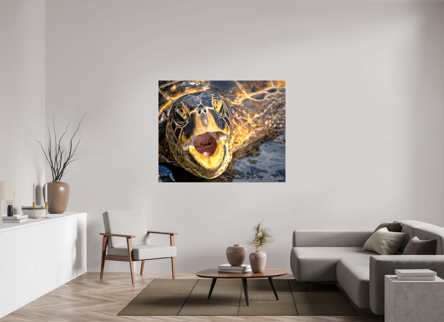 58.7 x 47″, Glossy Canvas Stretcher Frame with Mirrored Edges (000) Honu’s Serenade