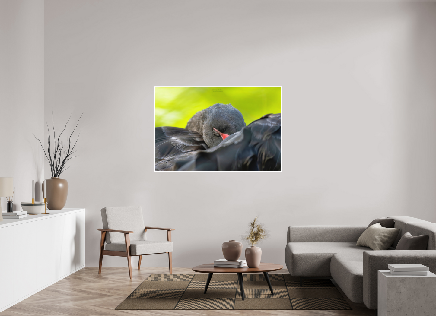 60 x 40″, Photo Print with Matte Lamination (08A) Black Swan
