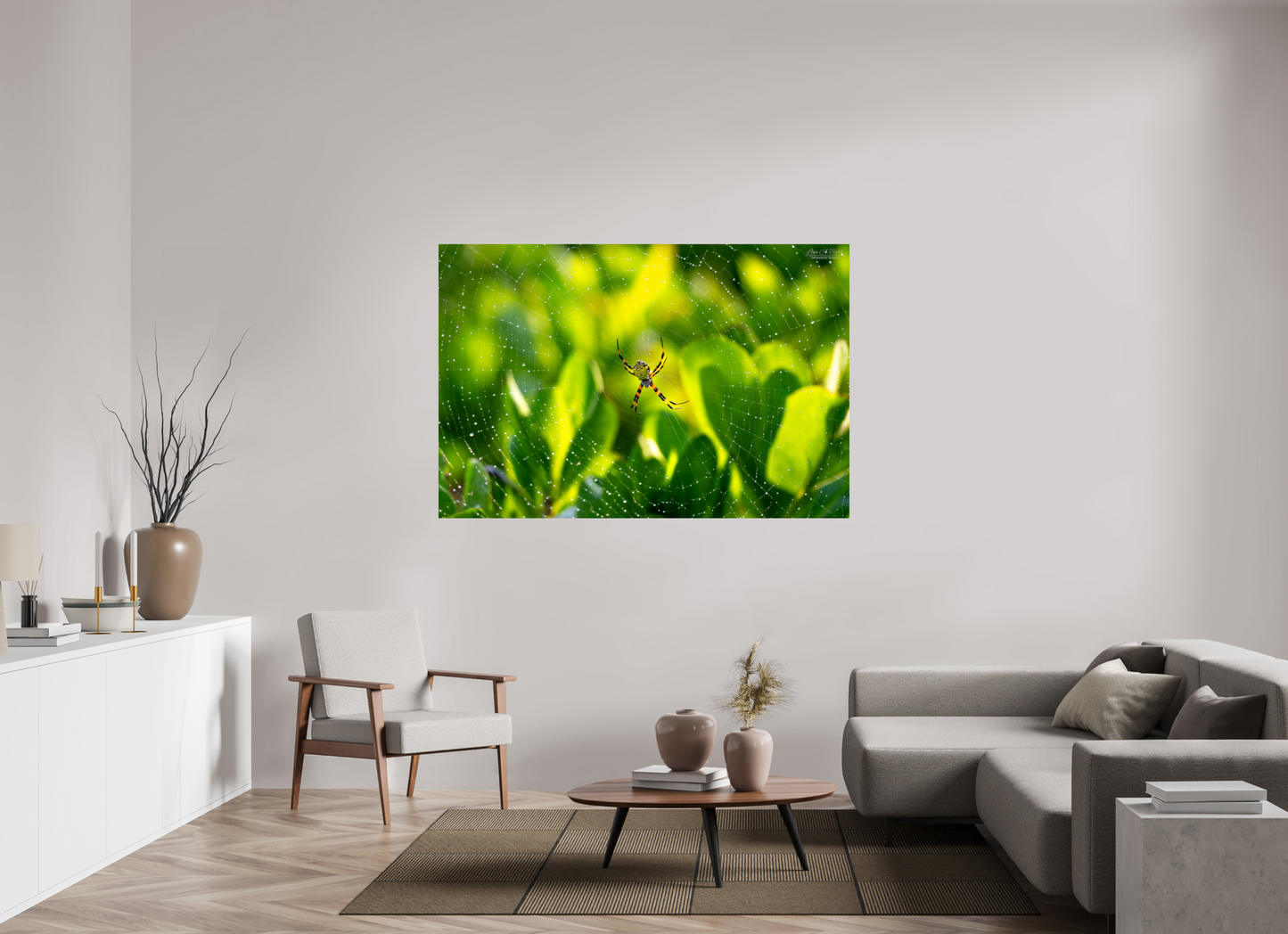 66 x 44″, Print with Aluminum Backing and Glossy Lamination (09C) Hawaiian Garden Spider