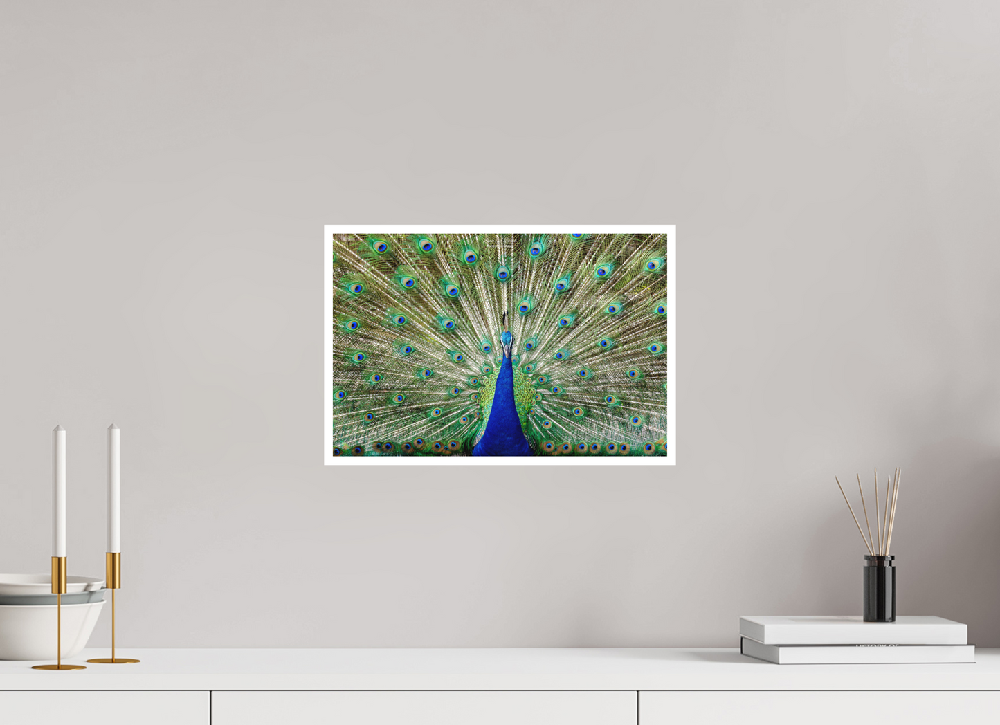 15 x 10″, Photo Print with Matte Lamination (08C) Peacock Display