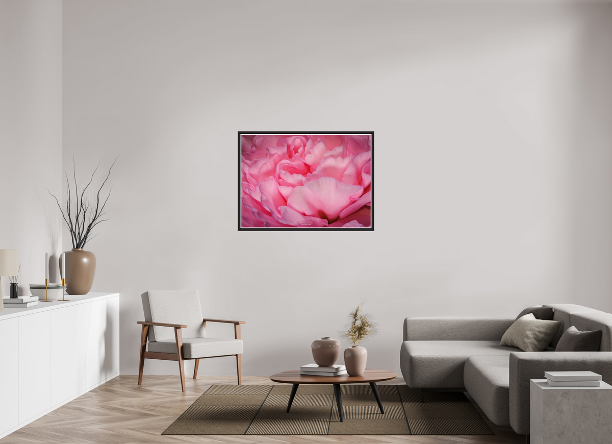 43.4 x 31″, Black Matte Floater Frame with Acrylic Glass Radiant Pink Petals