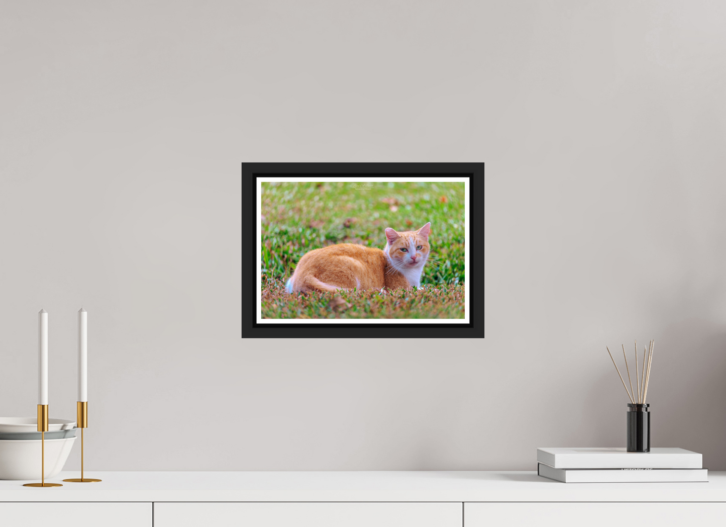 12 x 8″, Black Matte Floater Frame with Acrylic Glass (08I) Spirit of the Park