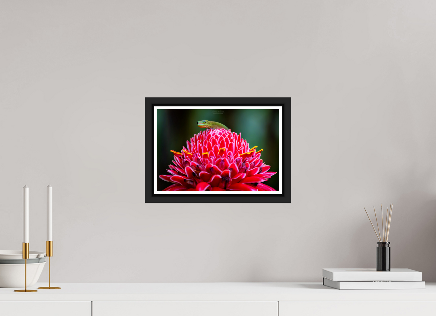 12 x 8″, Black Matte Floater Frame with Acrylic Glass (08F) Gecko on a flower