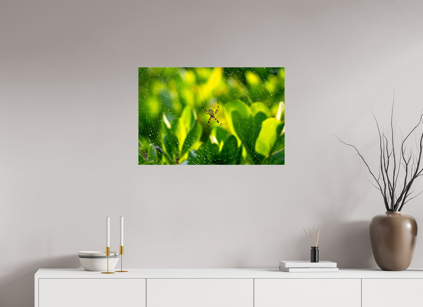 30 x 20″, Photo Print Under Acrylic Glass (09C) Hawaiian Garden Spider