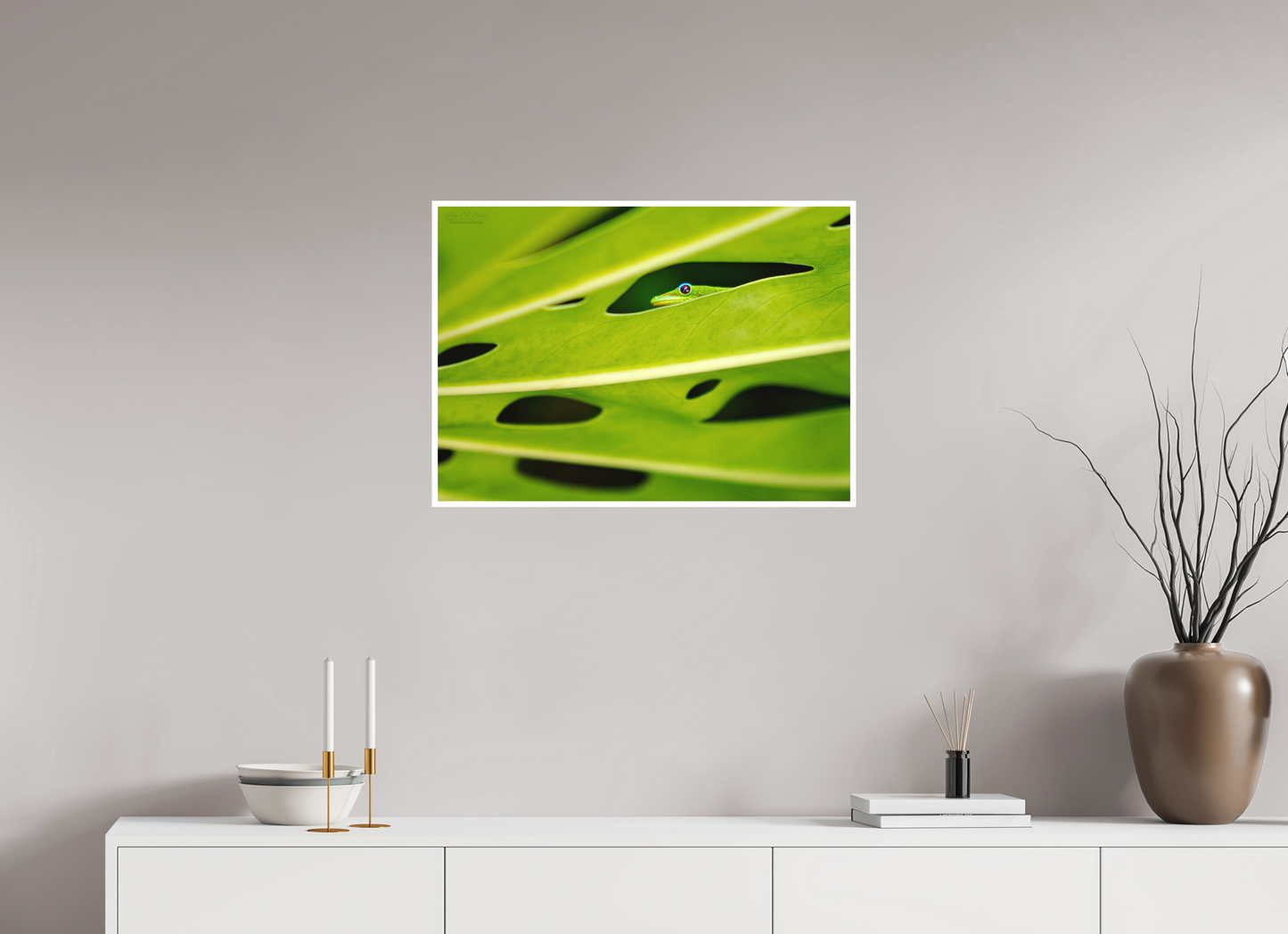 28 x 20″, Photo Print with Matte Lamination (08E) Hidden Gecko