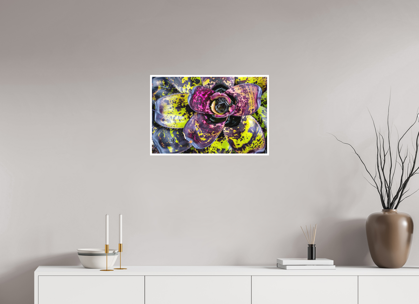 24 x 16″, Photo Print with Matte Lamination (07B) Colorful Plant