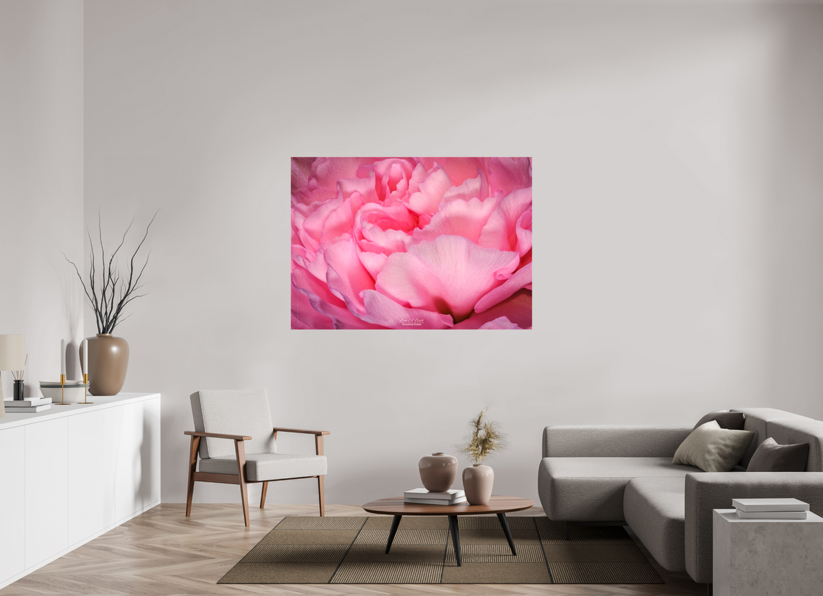 60.2 x 43″, Glossy Canvas Stretcher Frame with Mirrored Edges Radiant Pink Petals