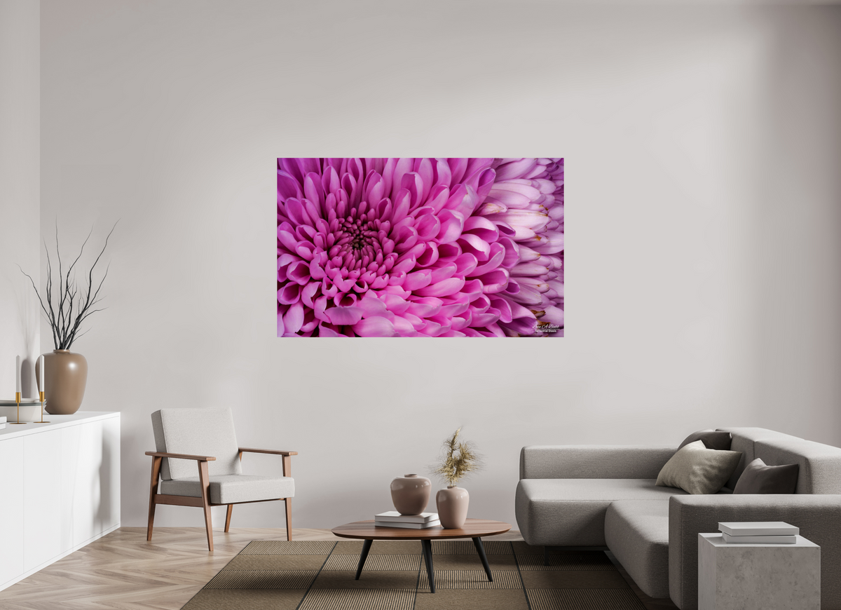 68.8 x 43″, Print with Aluminum Backing and Glossy Lamination ???