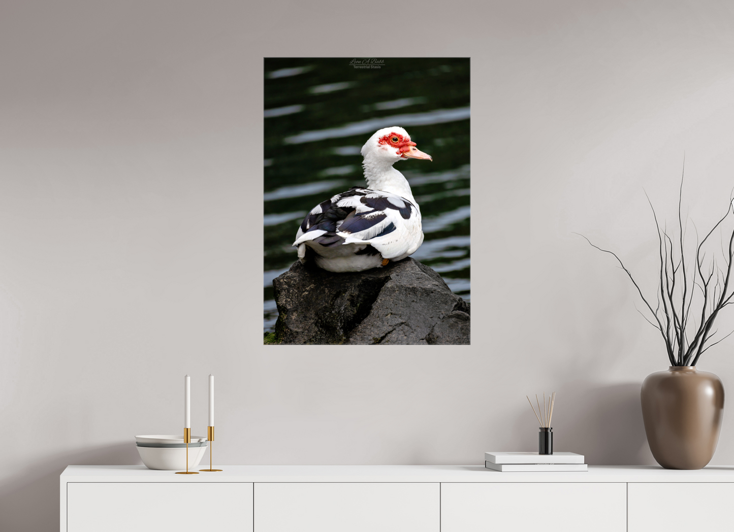 24 x 33.6″, Glossy Canvas Stretcher Frame with Mirrored Edges (08T) Female Muscovy Duck Portrait