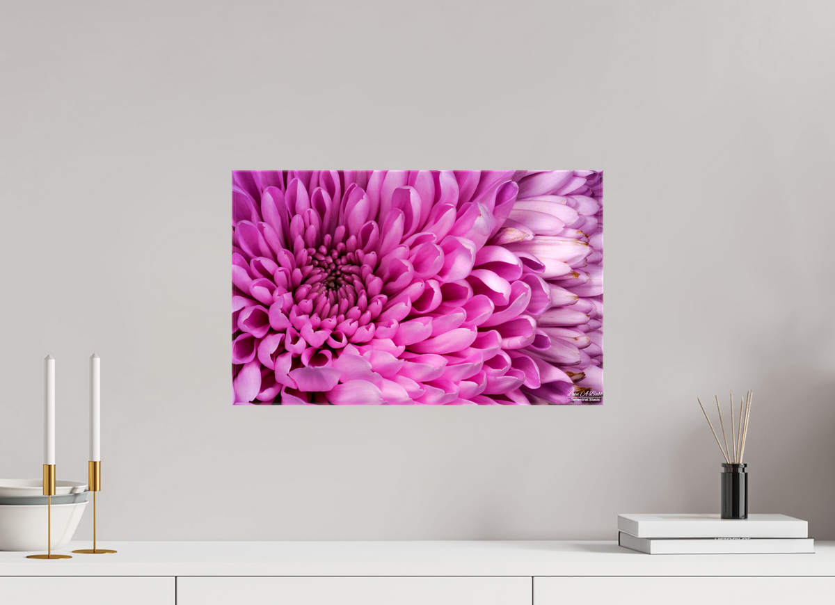 19.2 x 12″, Glossy Canvas Stretcher Frame with Mirrored Edges ???