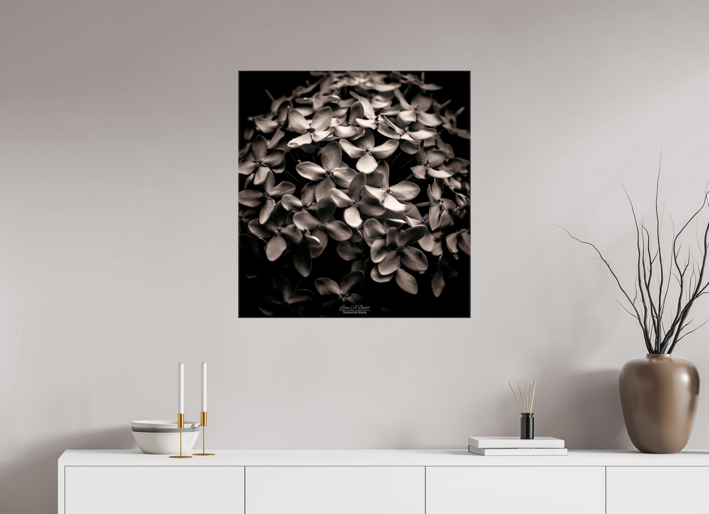 (07D) Monochrome Garden