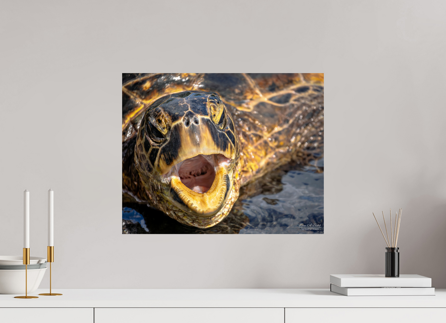 20 x 16″, Print with Aluminum Backing and Glossy Lamination (000) Honu’s Serenade