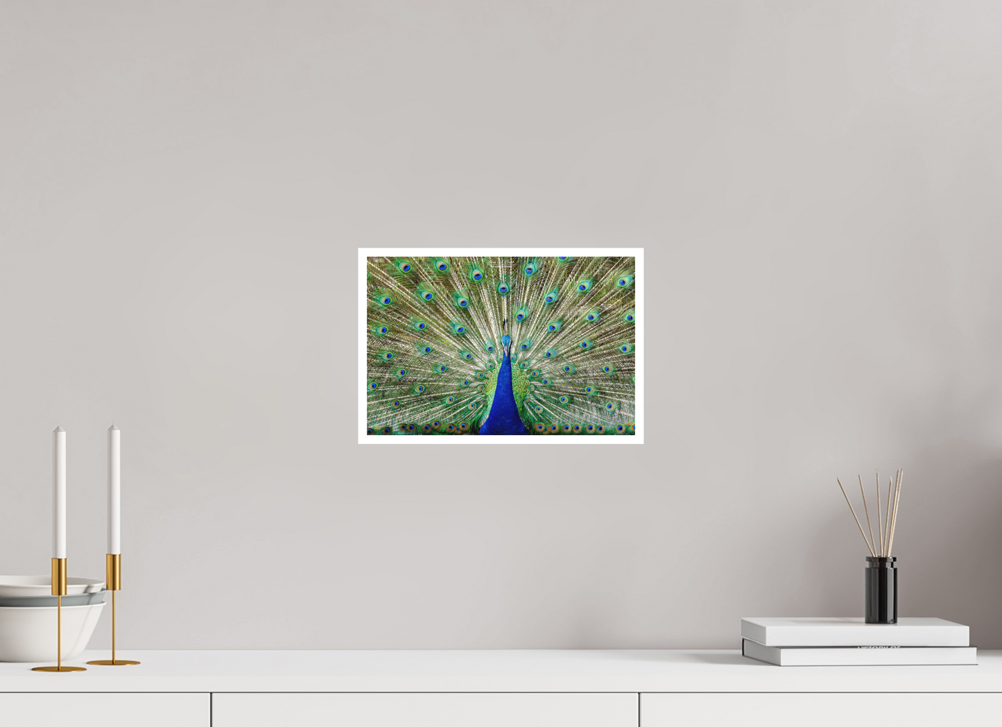 12 x 8″, Photo Print with Matte Lamination (08C) Peacock Display