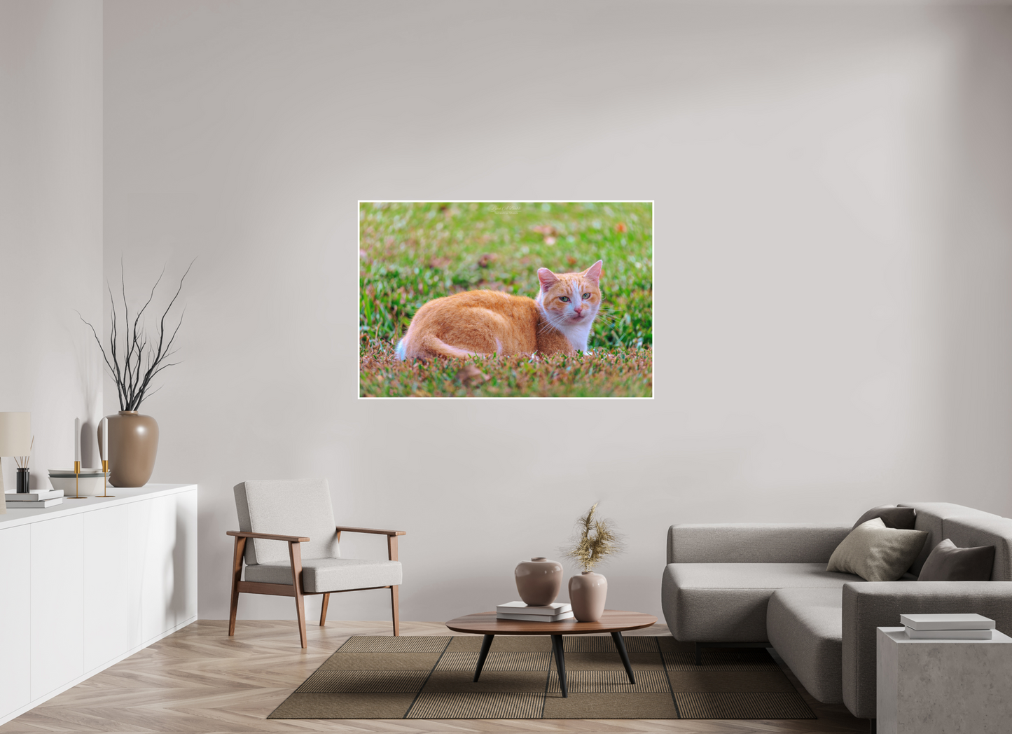 60 x 40″, Photo Print with Matte Lamination (08H) Hawaii Strays in Color