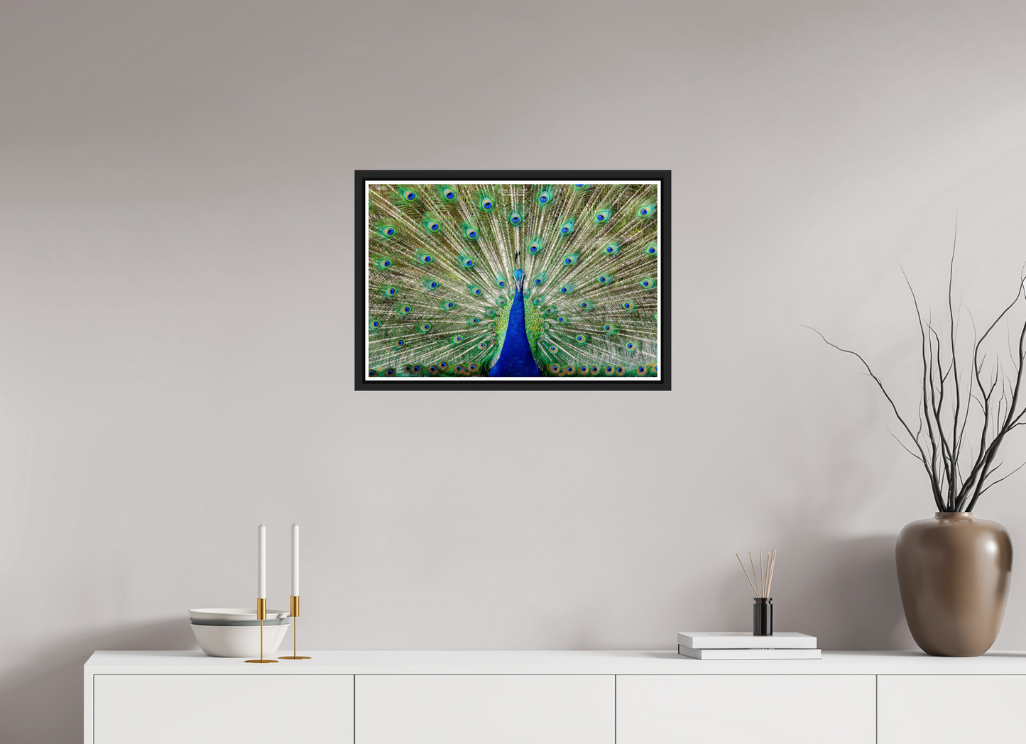 24 x 16″, Black Matte Floater Frame with Acrylic Glass (08C) Peacock Display