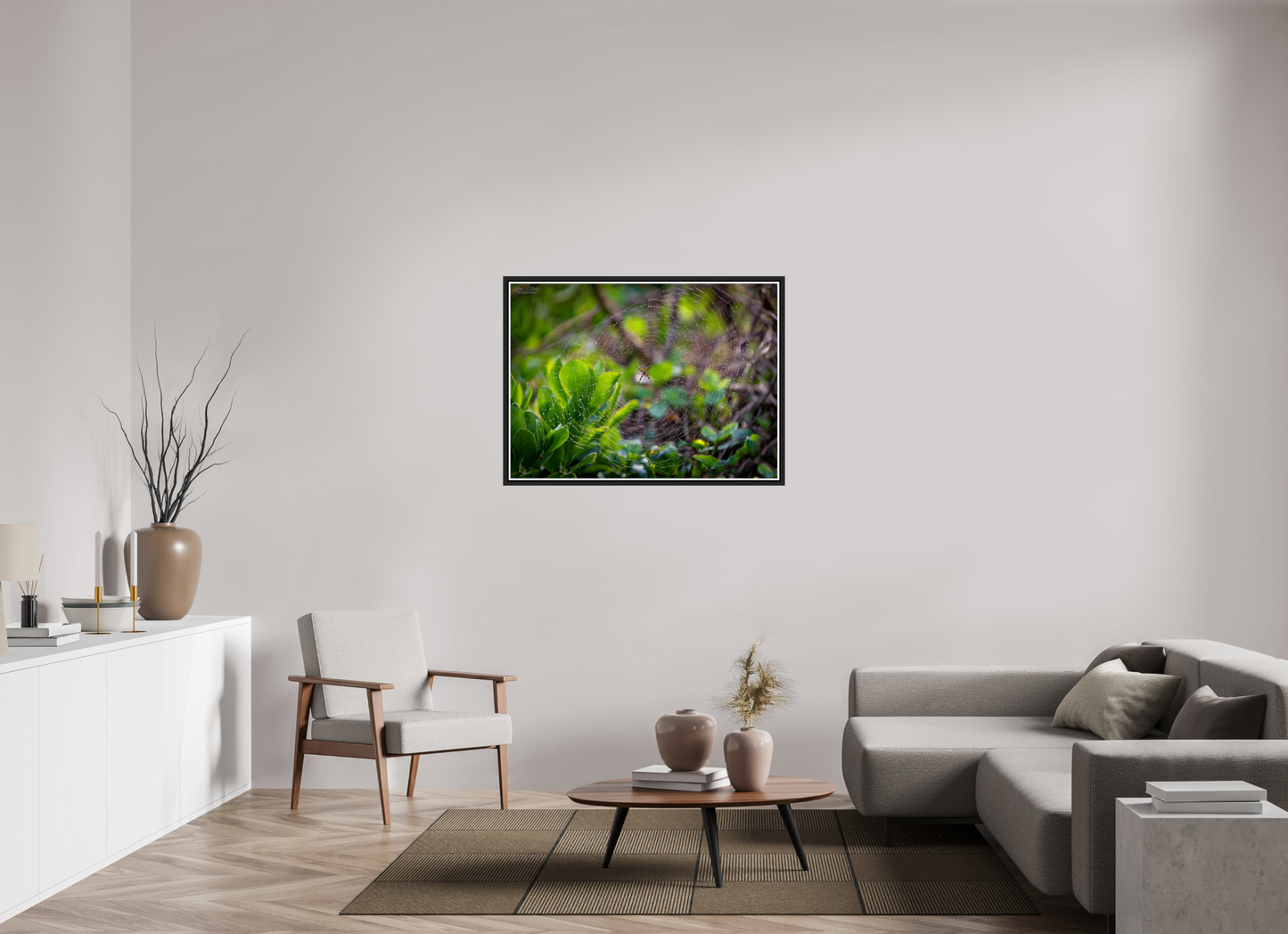 42.6 x 31″, Black Matte Floater Frame with Acrylic Glass Hawaiian Garden Spider Web