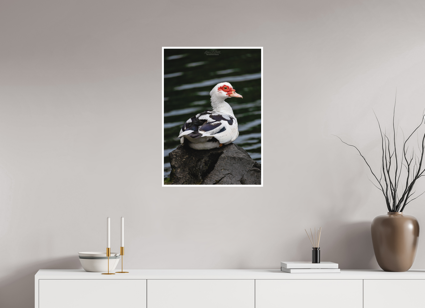 20 x 28″, Print with Matte Lamination (08T) Female Muscovy Duck Portrait