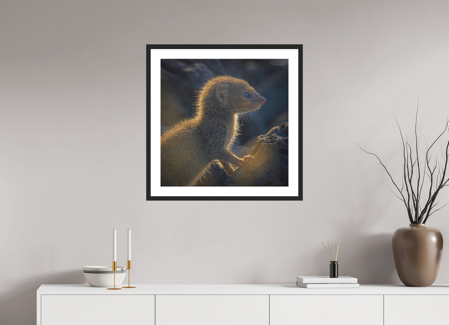 25 x 25″, Standard Black Matte Wood Frame (08I) First Watch