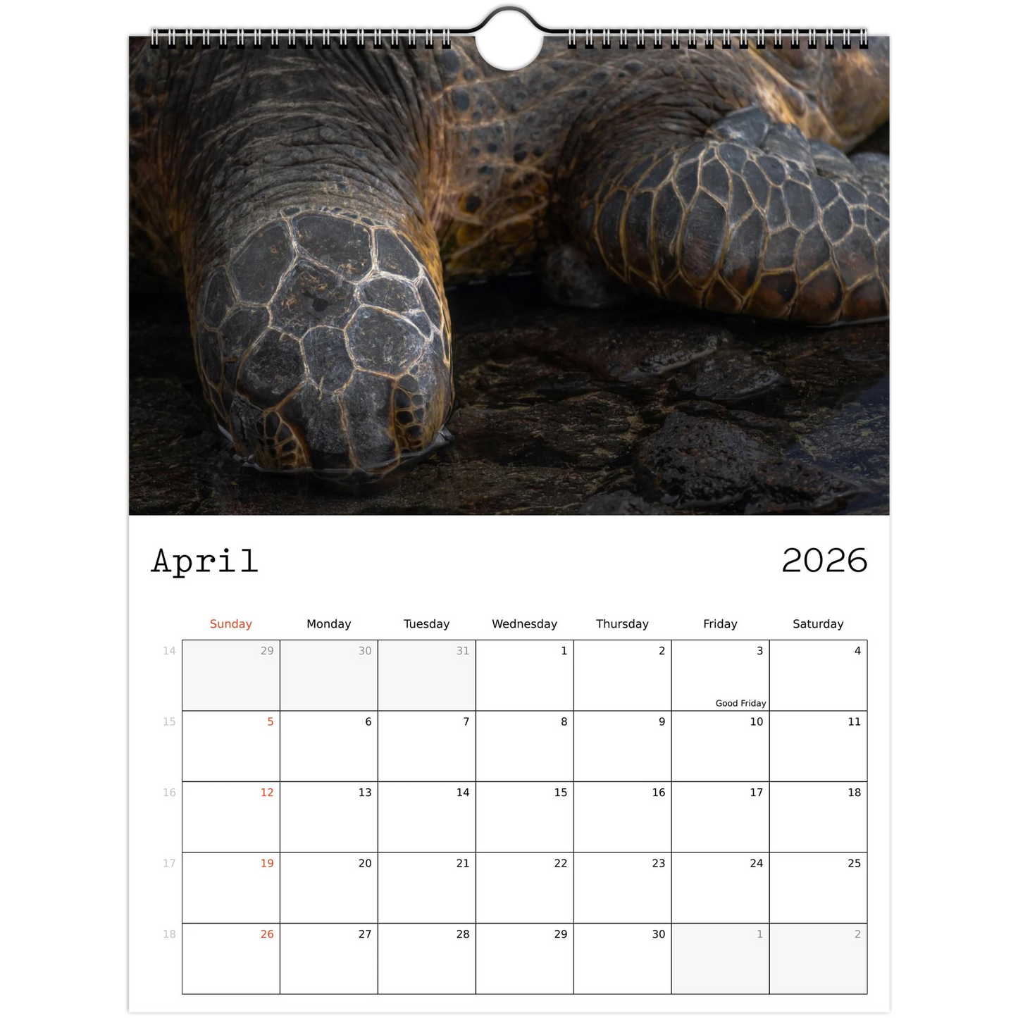 3898e0a8-c326-4c3e-81f8-1ff8638a97cf