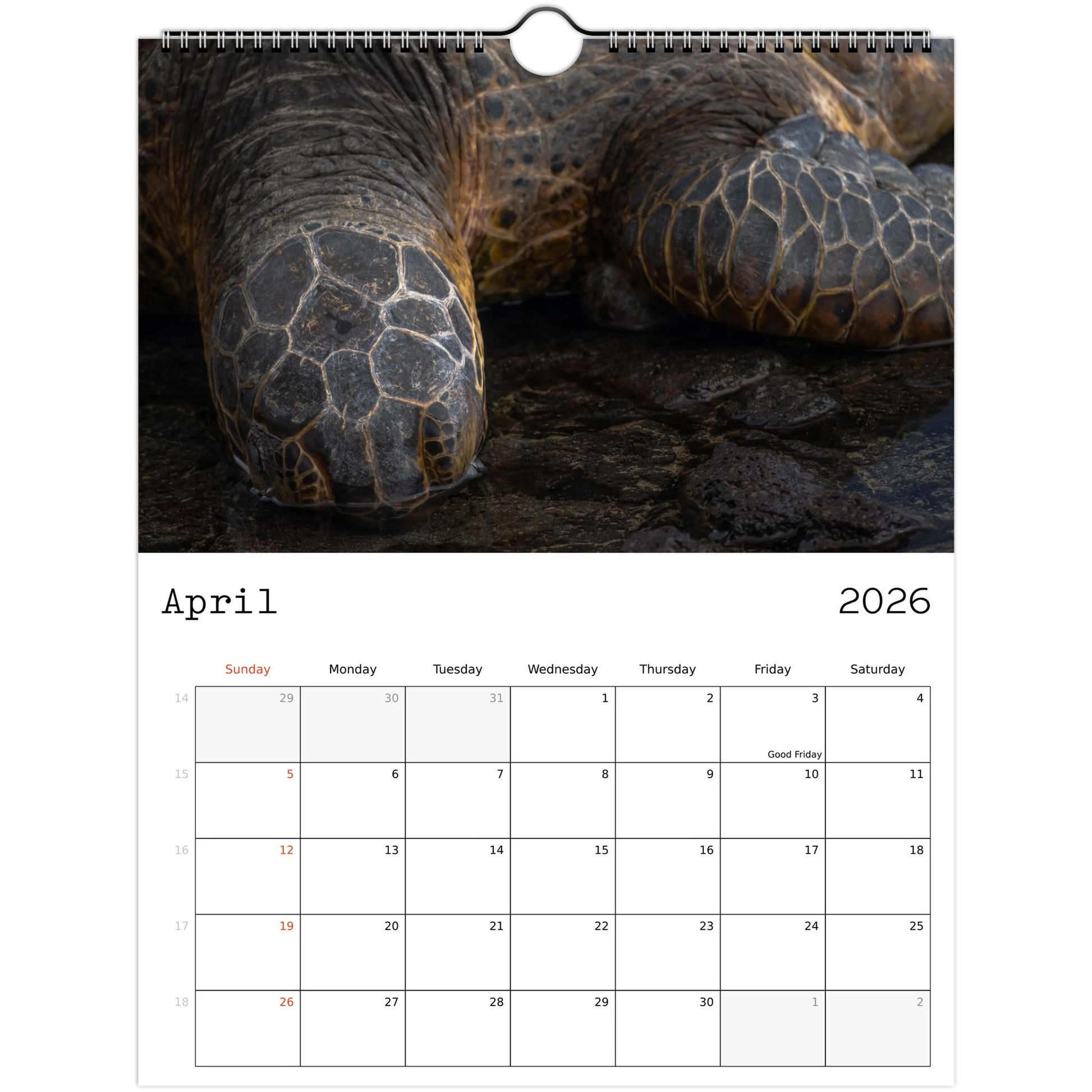 3898e0a8-c326-4c3e-81f8-1ff8638a97cf