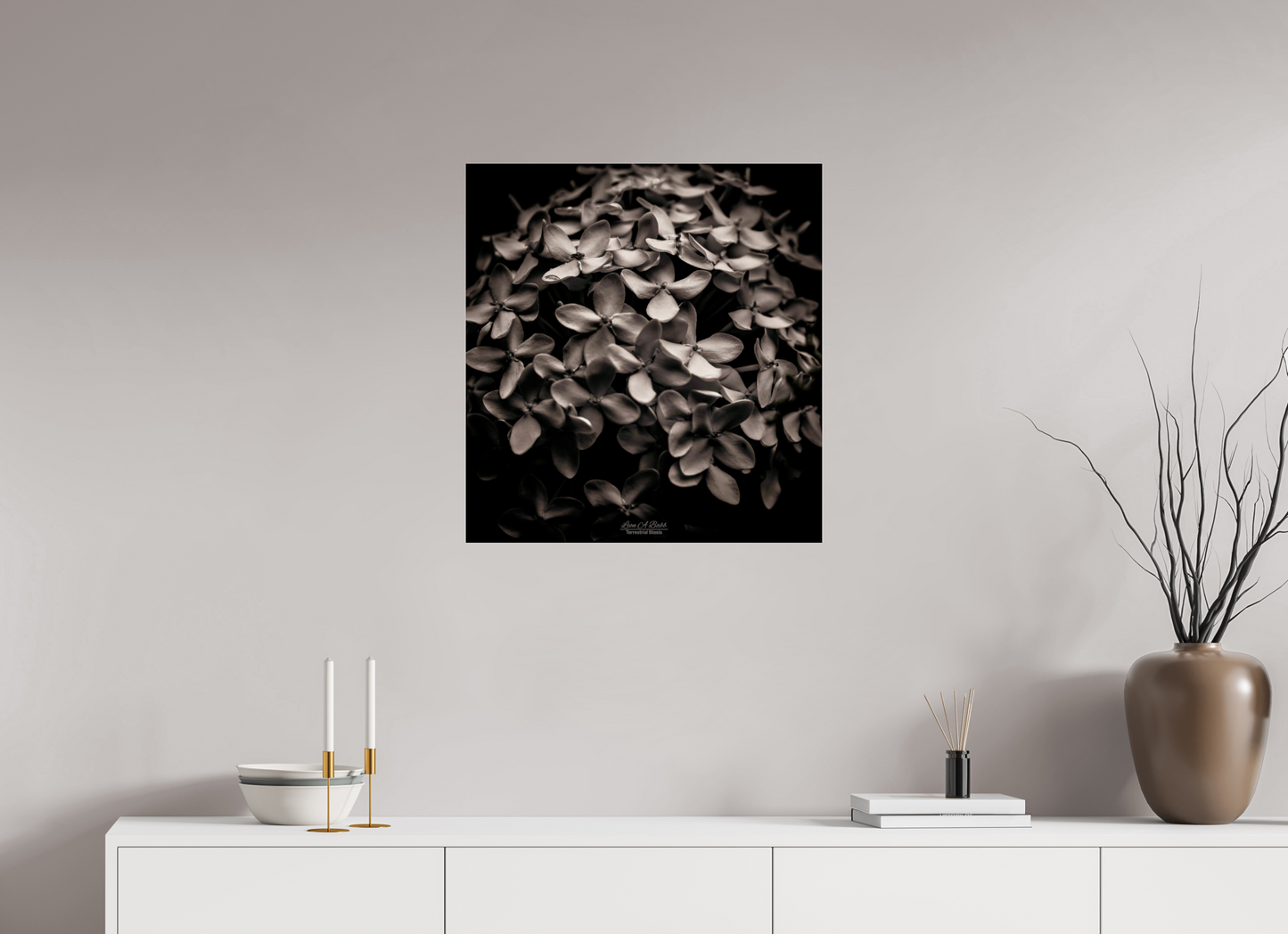 (07D) Monochrome Garden