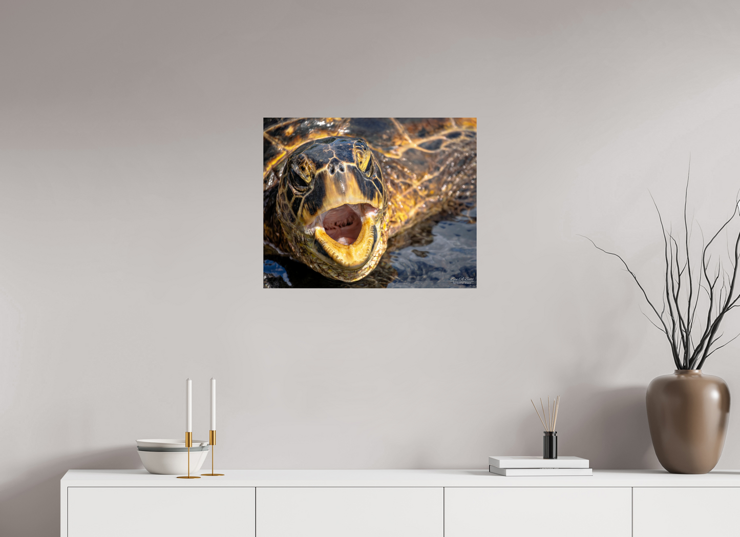 25 x 20″, Print with Aluminum Backing and Glossy Lamination (000) Honu’s Serenade